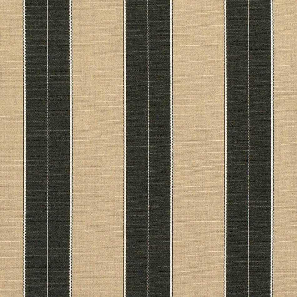 CV-SC-Spectrum-Carbon