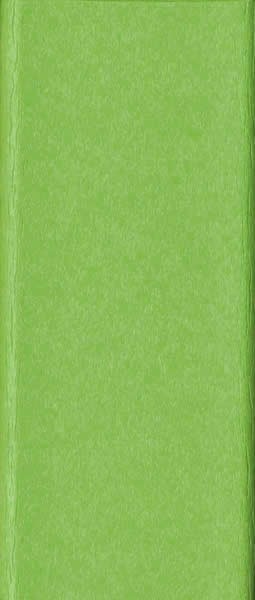 BG-Kiwi Green on White 