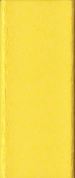 BG-Sunburst Yellow on White