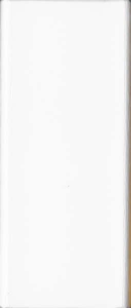 BG-Sunburst Yellow on White