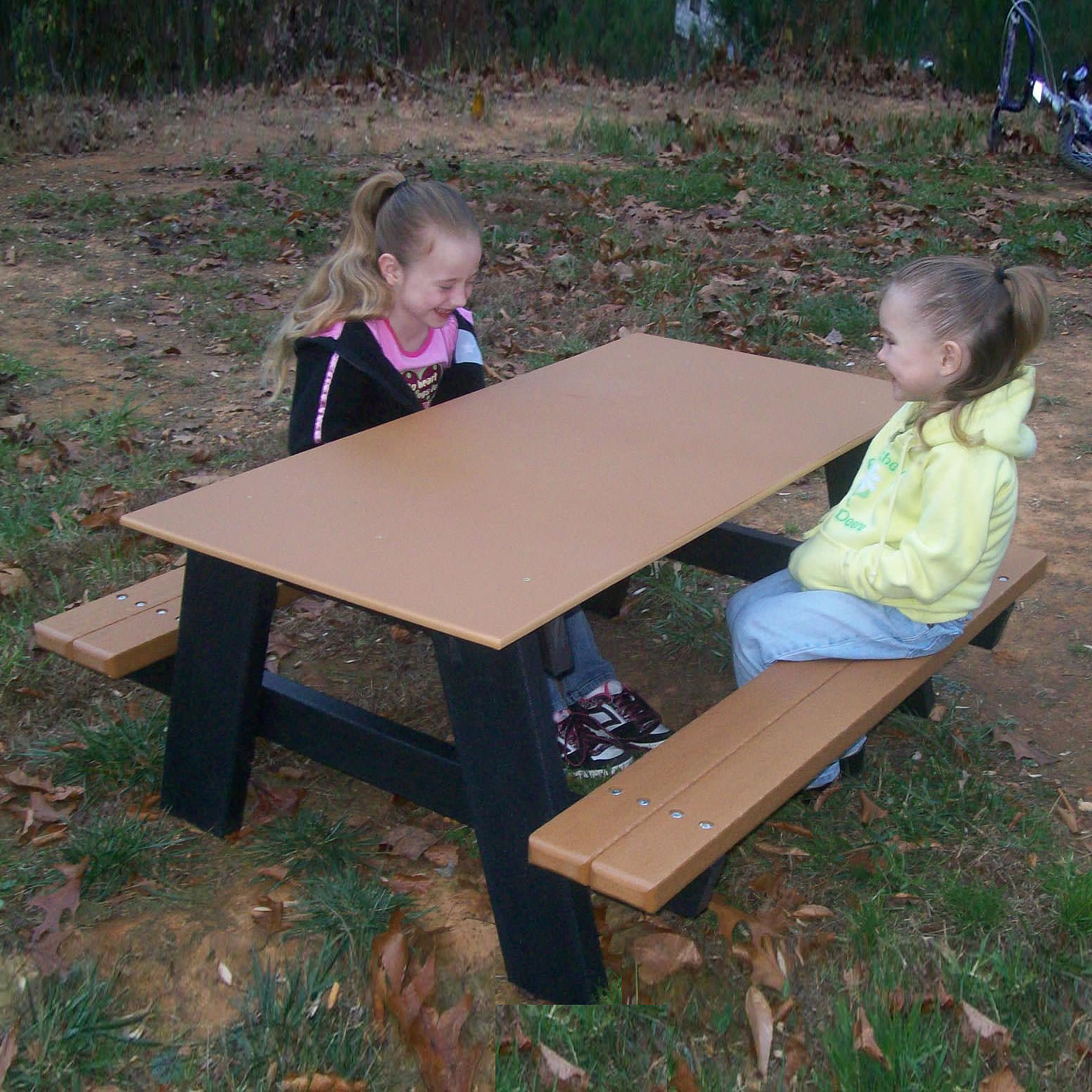 Includes black frame