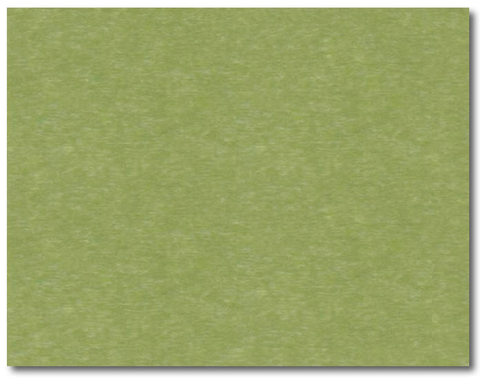 BG-Kiwi Green