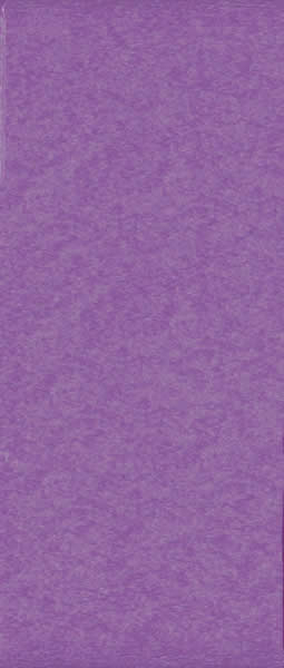 LLC-Purple