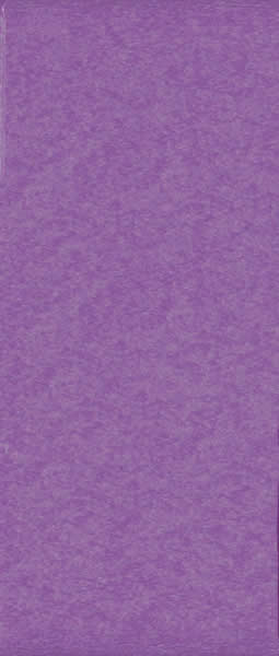 LLC-Purple