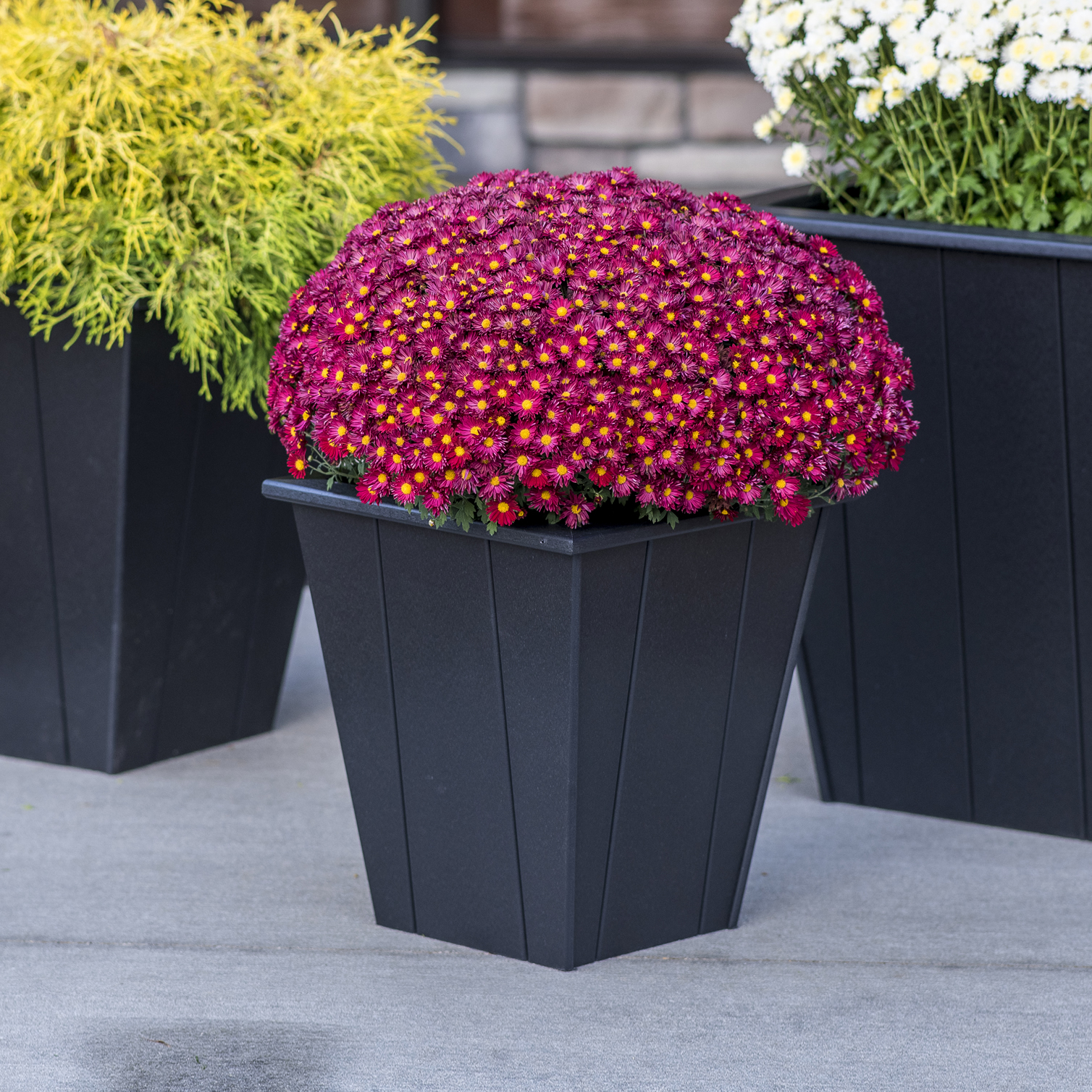 Luxcraft Elite 18 in Planter